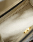 GCCI way Bag Diana Leather,Canvas Handbag,Shoulder Bag Grayish