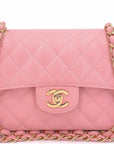 CHNL 2005 Vintage Sakura Pink Small Classic Double Flap Bag 24k GHW