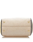 FNDI Colorblock Canvas Chameleon (SHG-22352)