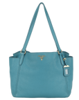 PRD BR SHOULDER BAG PAVONE VITTELO DAINO LEATHER GOLD HARDWARE WITH CARD