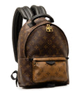 Brown LV Monogram Reverse Palm Springs PM Backpack