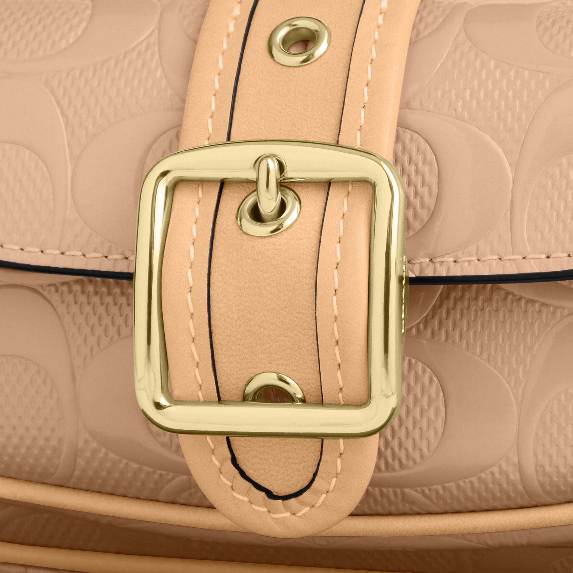 Ashton Mini Shoulder Bag In Signature Leather (Gold/Faded Blush)