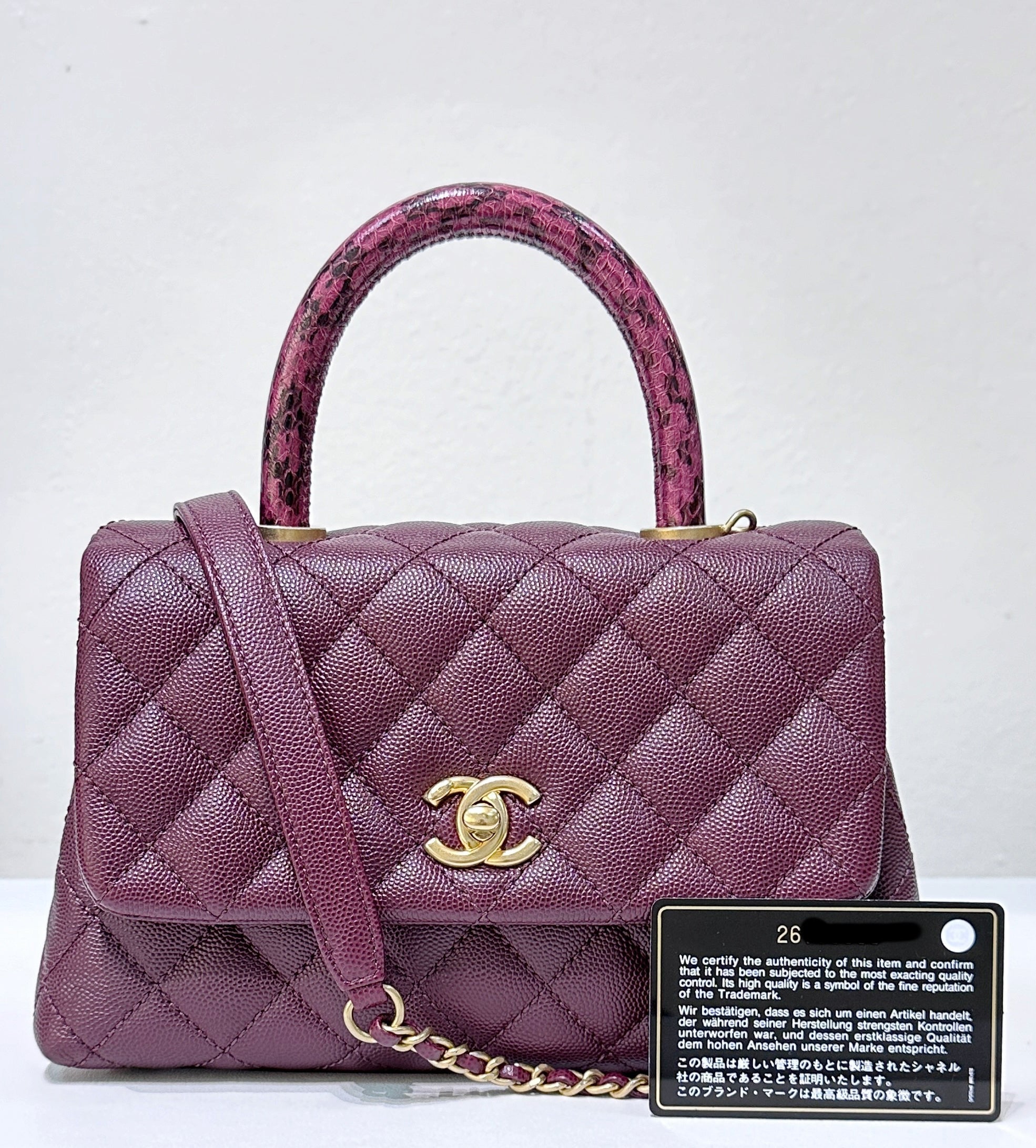 CHNL Small Coco Handle Elaphe Leather Handle Burgundy