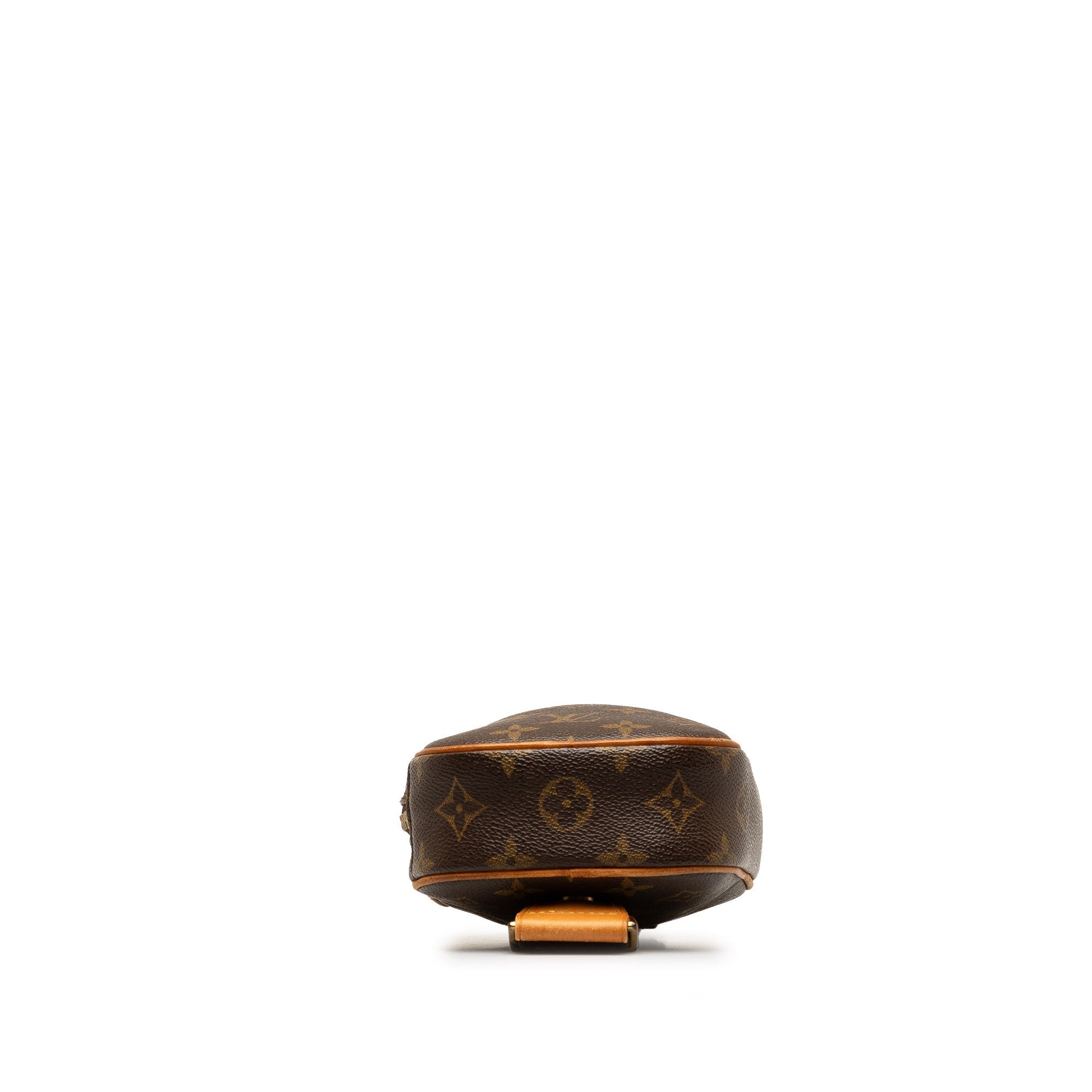 Brown LV Monogram Pochette Gange Crossbody Bag
