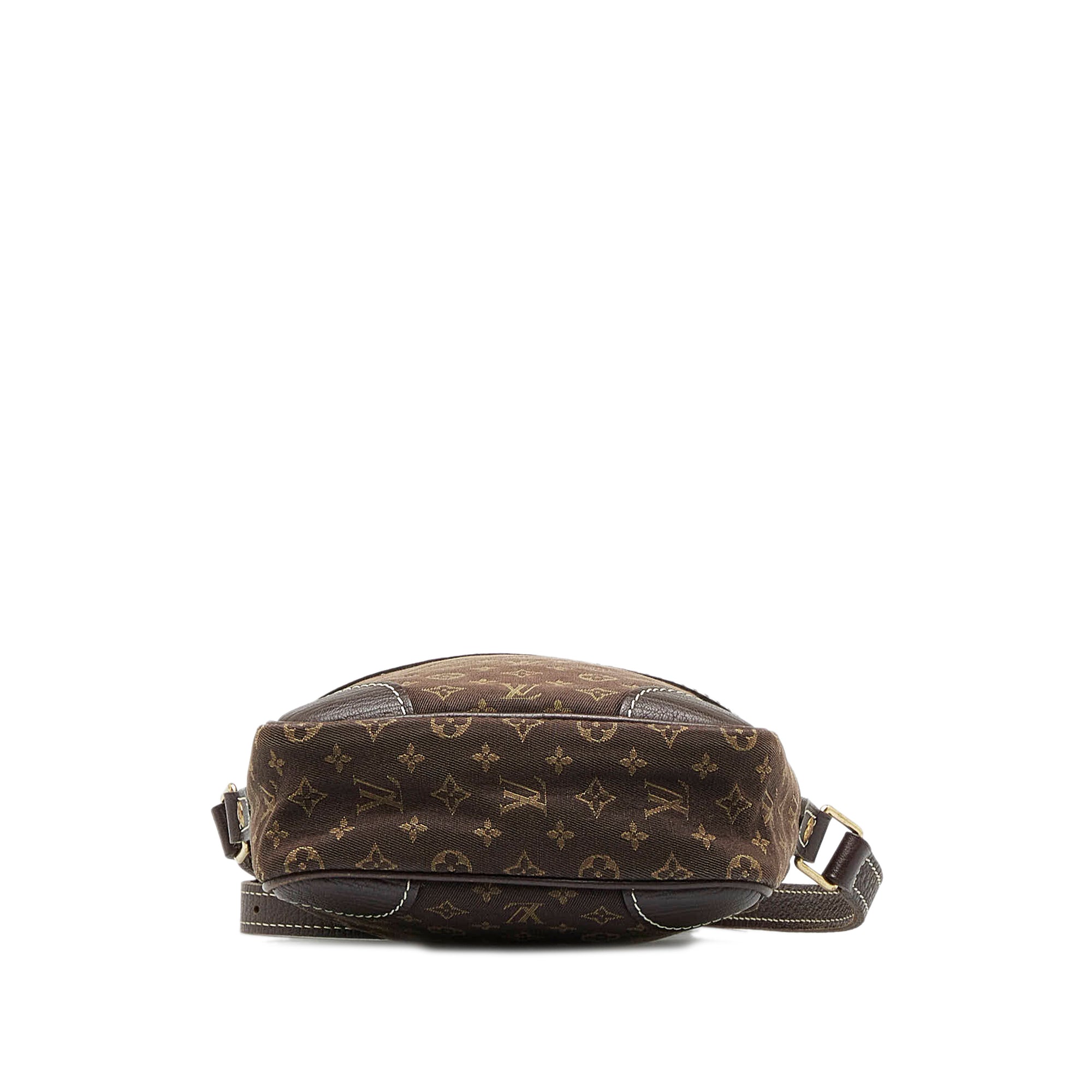 Brown LV Monogram Mini Lin Danube Crossbody Bag