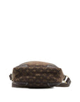 Brown LV Monogram Mini Lin Danube Crossbody Bag