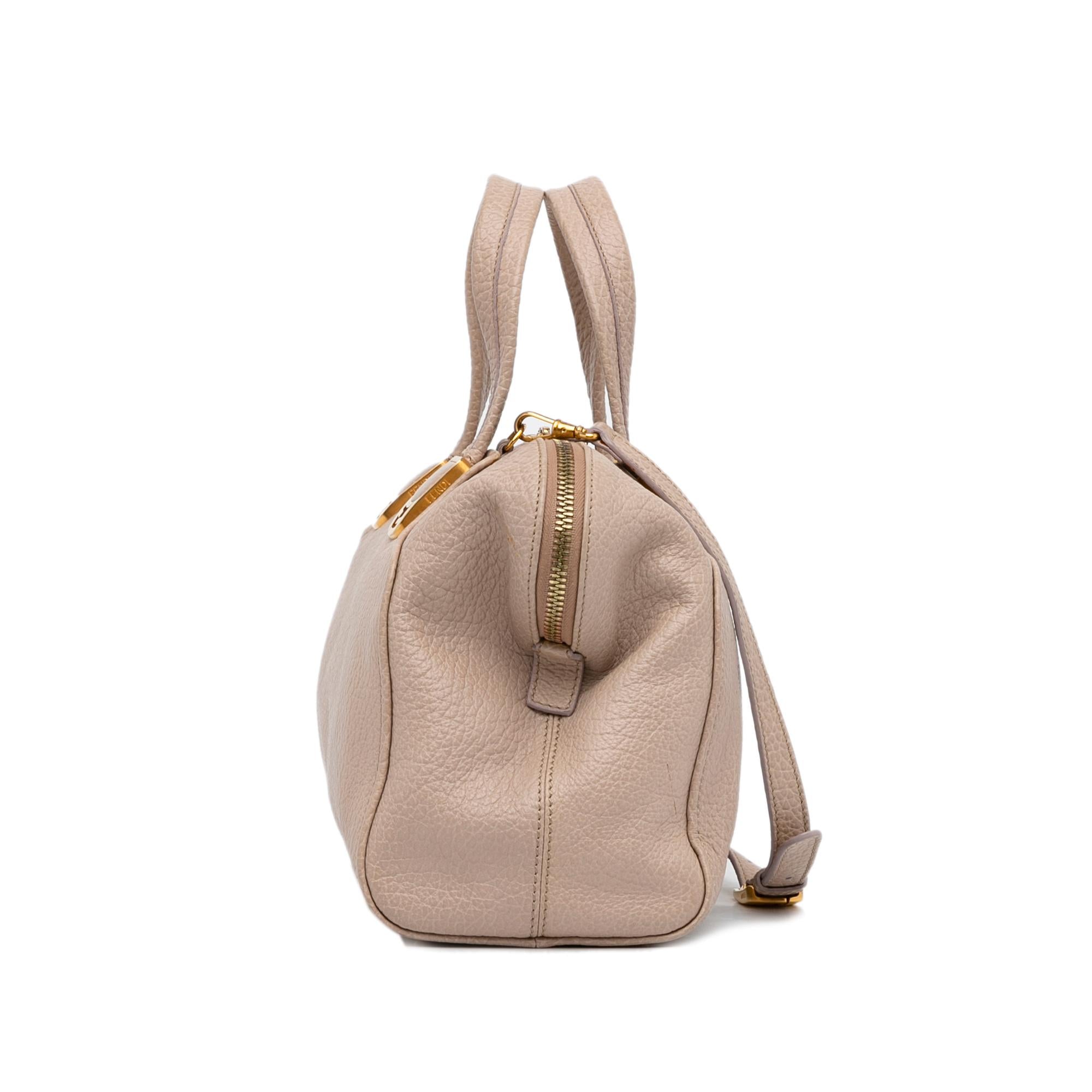 FNDI Chameleon Satchel (SHG-T4AdIz)