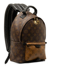 Brown LV Monogram Reverse Palm Springs PM Backpack