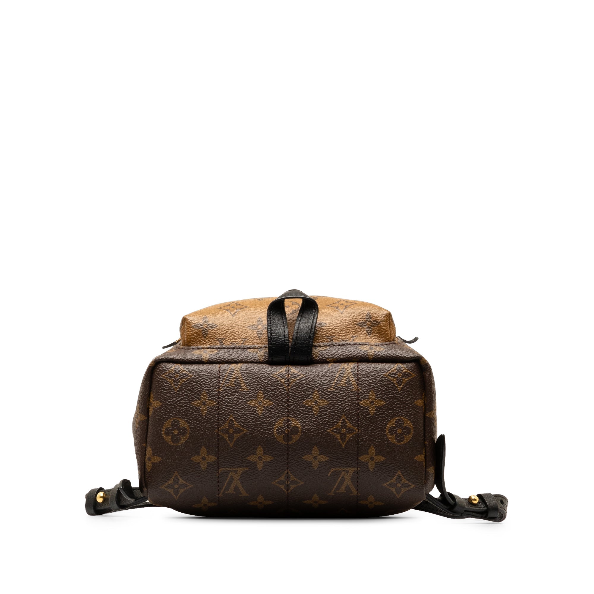 Brown LV Monogram Reverse Palm Springs PM Backpack