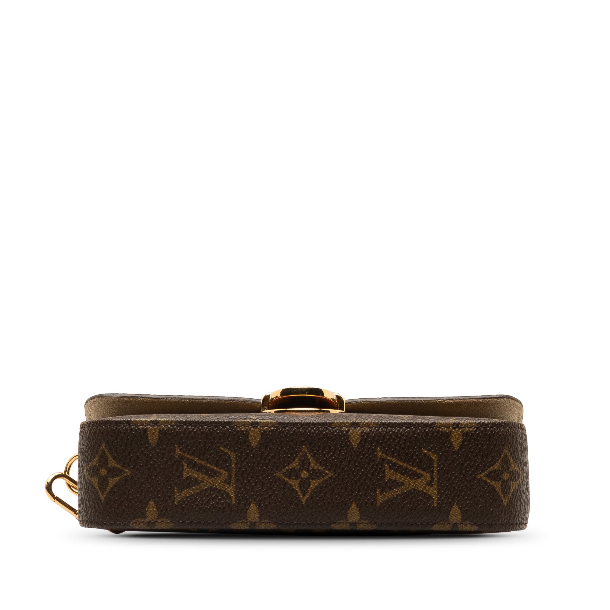 Brown LV Monogram Pochette Lagoon Clutch Bag