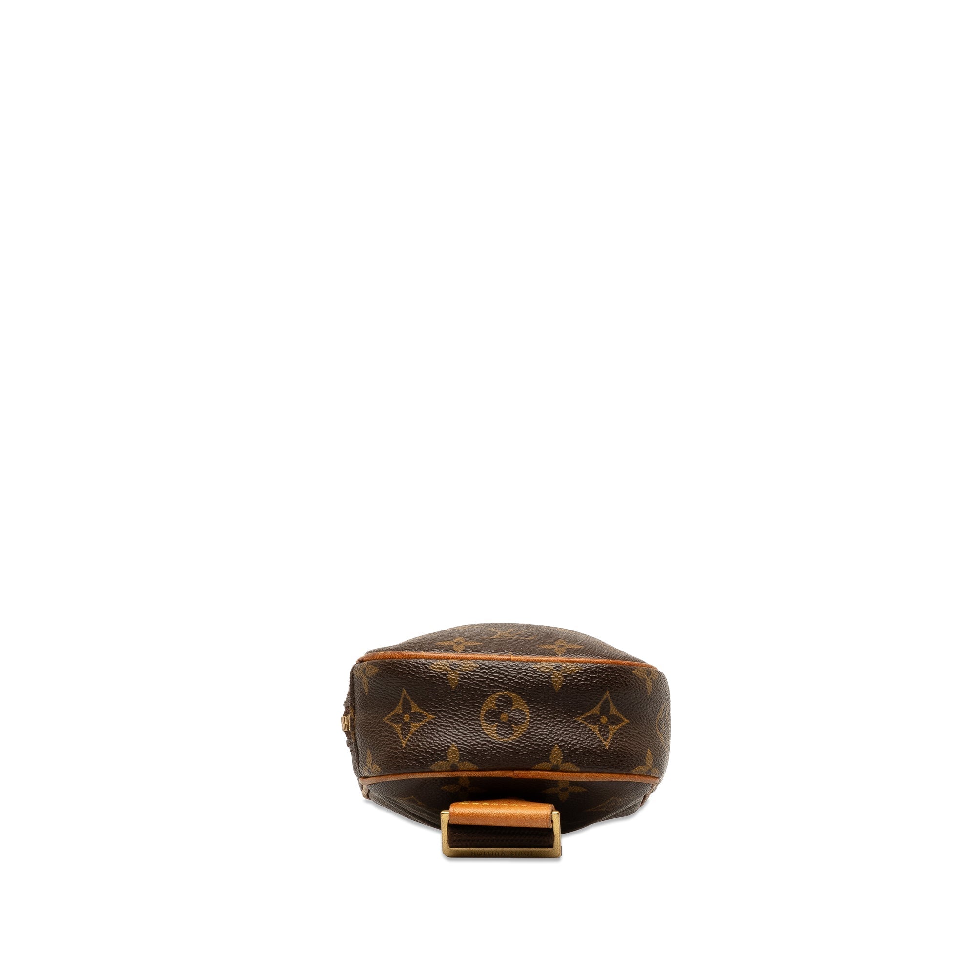 Brown LV Monogram Pochette Gange Crossbody Bag