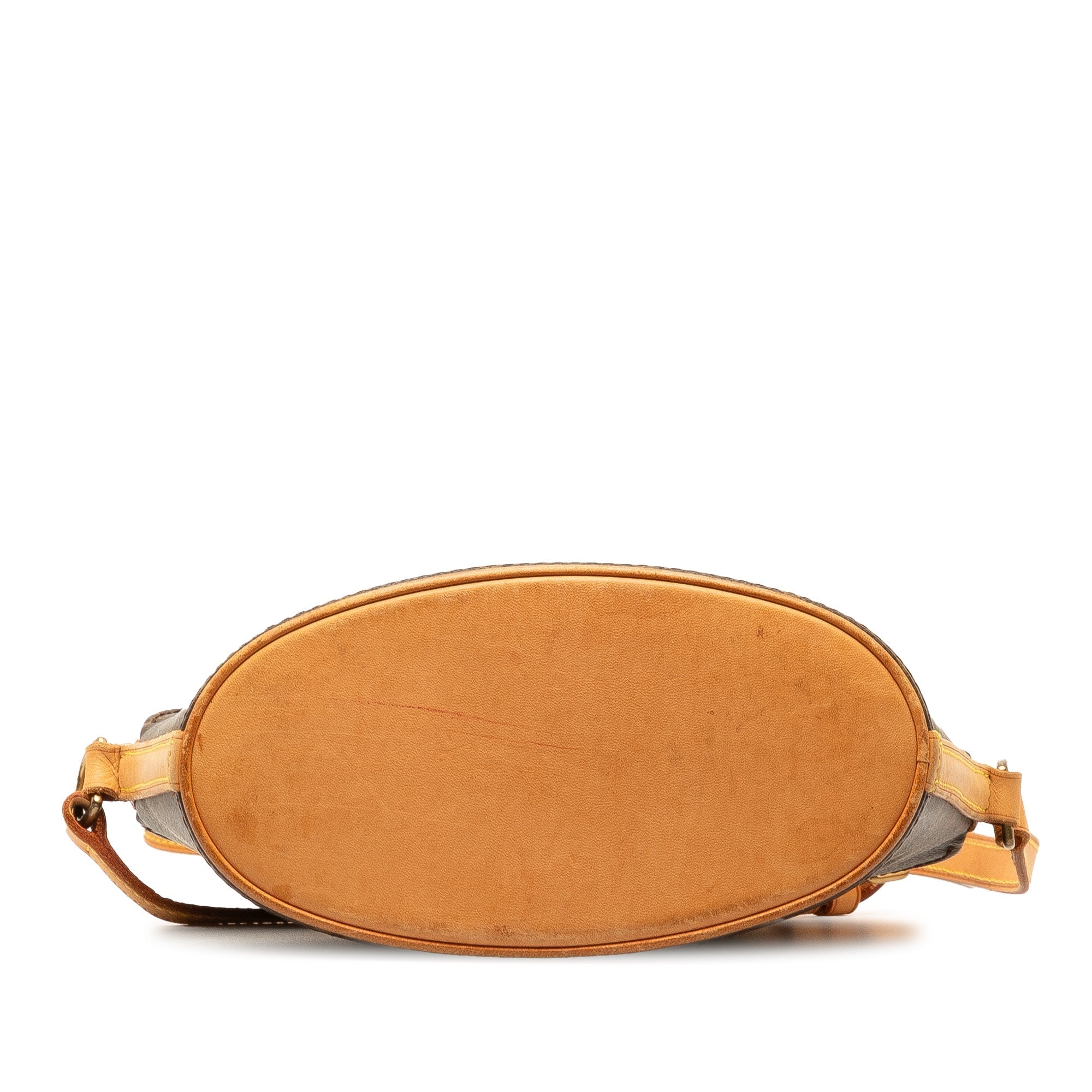 Brown LV Monogram Drouot Crossbody Bag