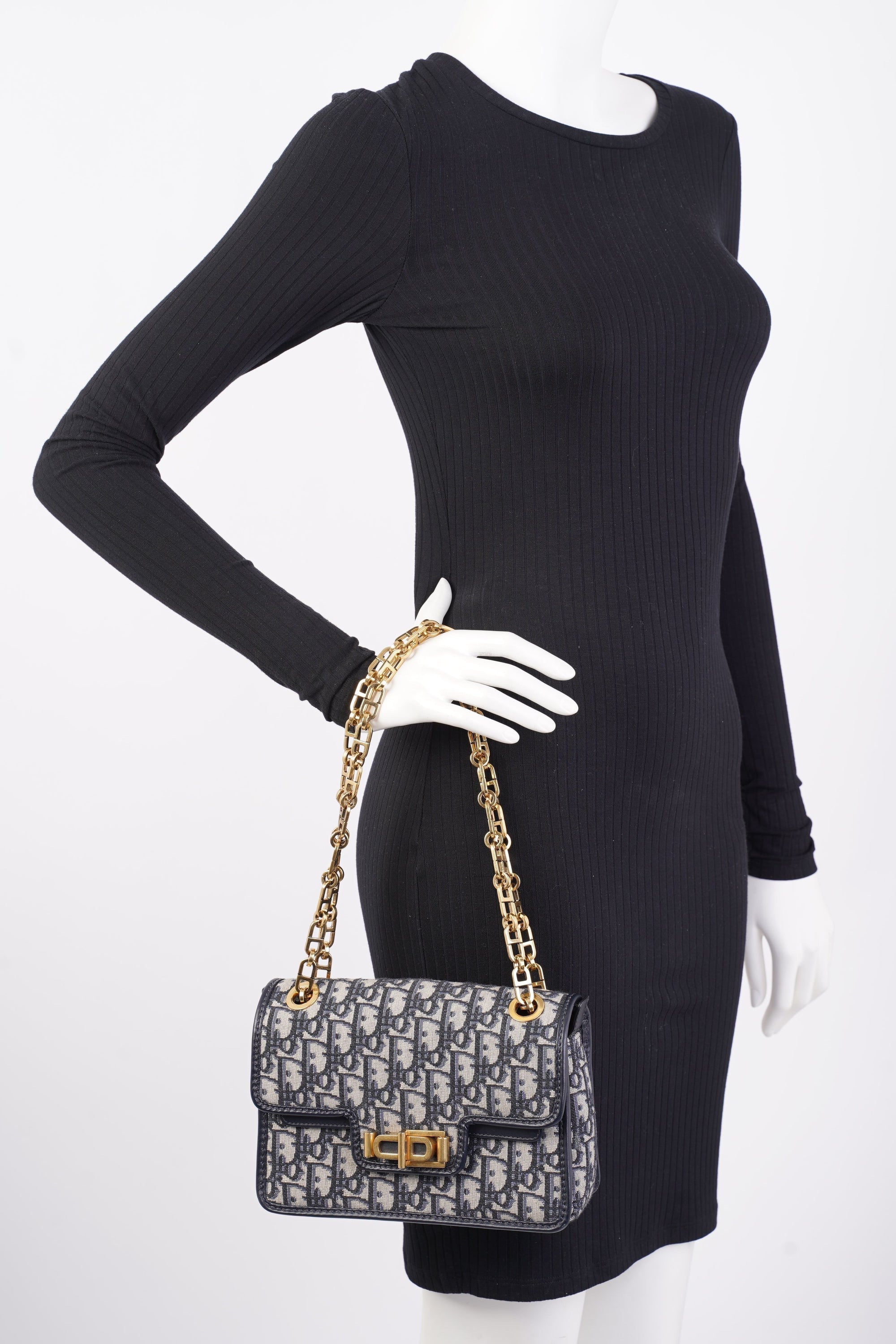 Christian DOR Addict Bag Oblique Canvas Medium