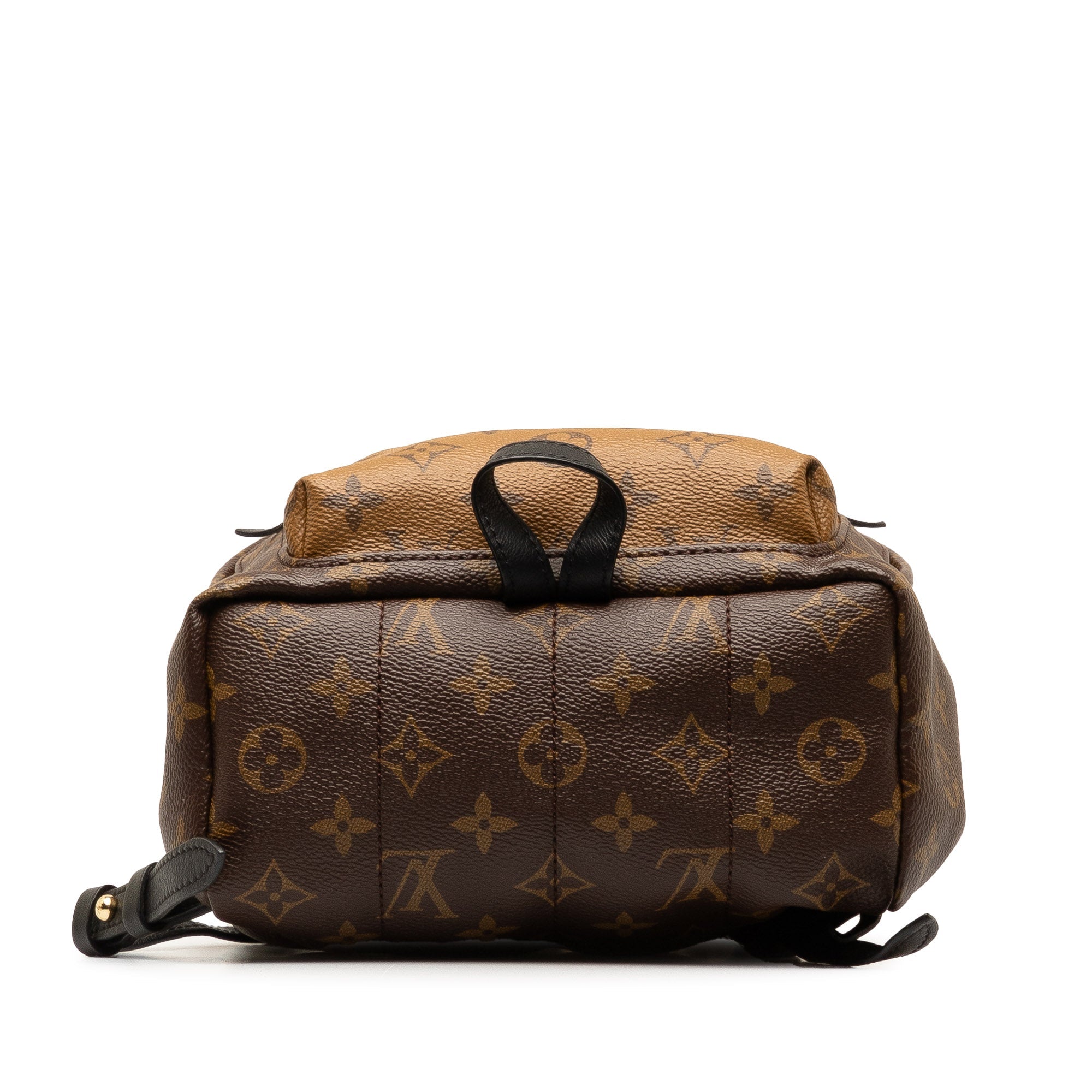 Brown LV Monogram Reverse Palm Springs PM Backpack