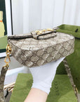GCCI Beige Mini Saddle Bag